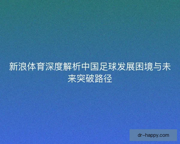 新浪体育深度解析中国足球发展困境与未来突破路径